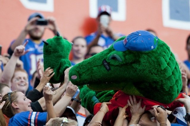 Albert the Alligator crowd surfing at The Swamp — Dr. Graham as University of Florida mascot, 2008–2010